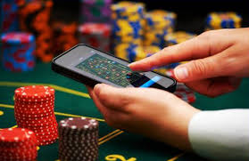 Как войти на сайт Pelican Casino
